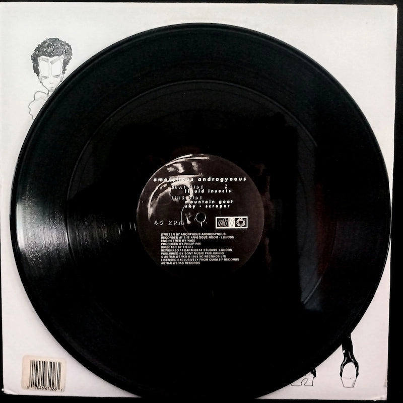 Amorphous Androgynous – Liquid Insects This Side