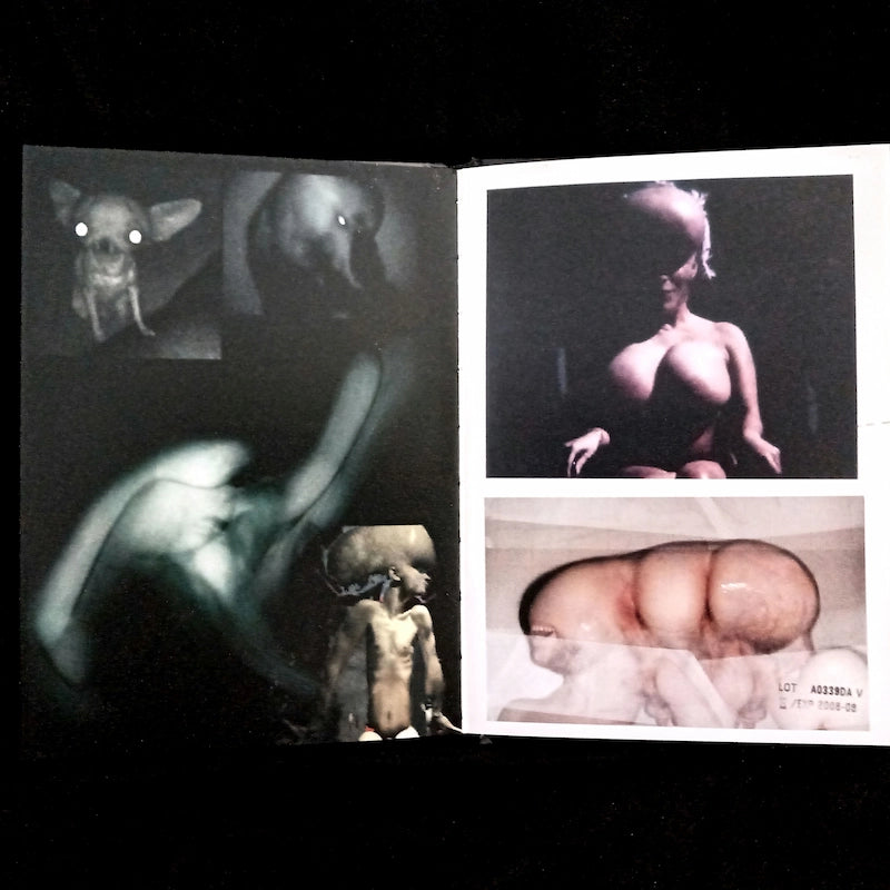Chris Cunningham – Rubber Johnny DVD - Warp Films – WF003DVD Booklet