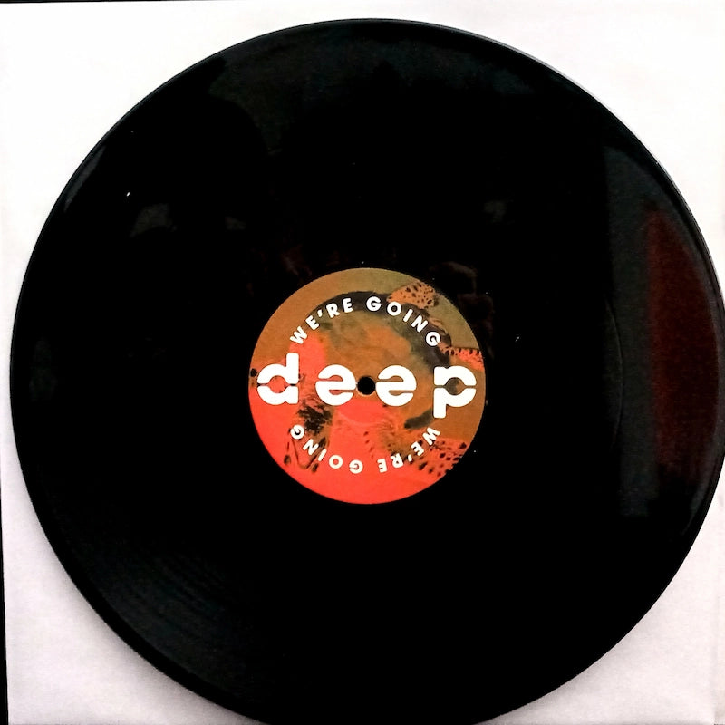 Various – Volume 5 - We're Going Deep Side B