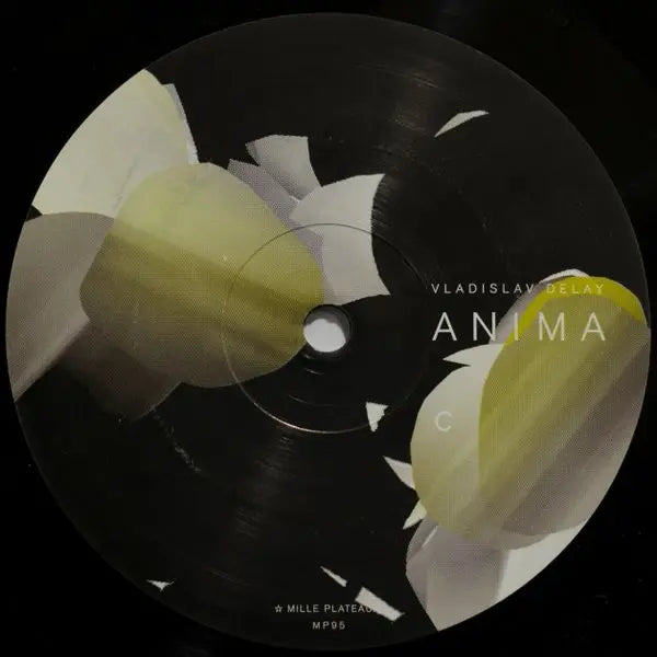 Vladislav Delay – Anima C