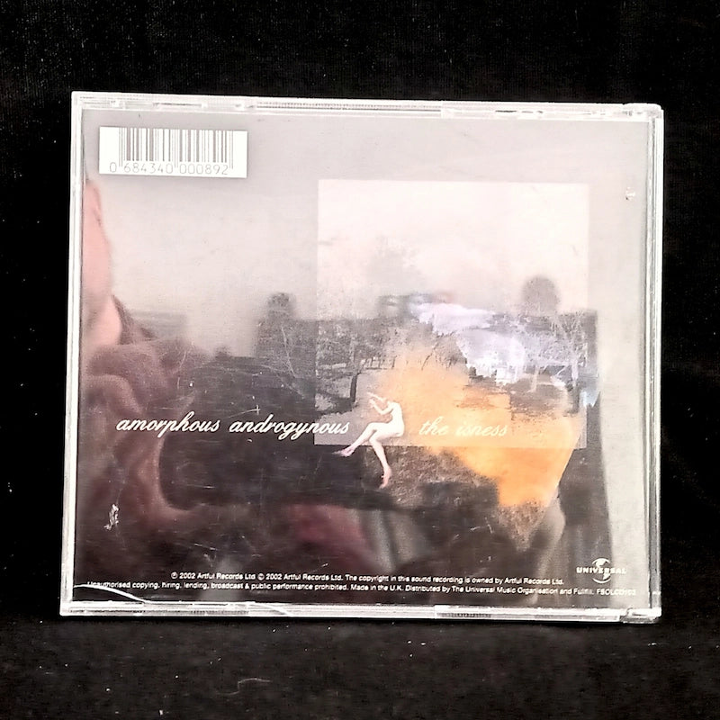 Amorphous Androgynous – The Isness Back