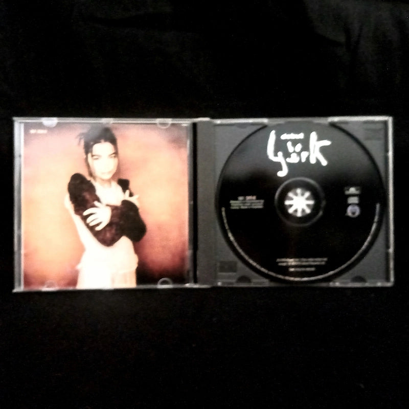 Björk – Debut Case
