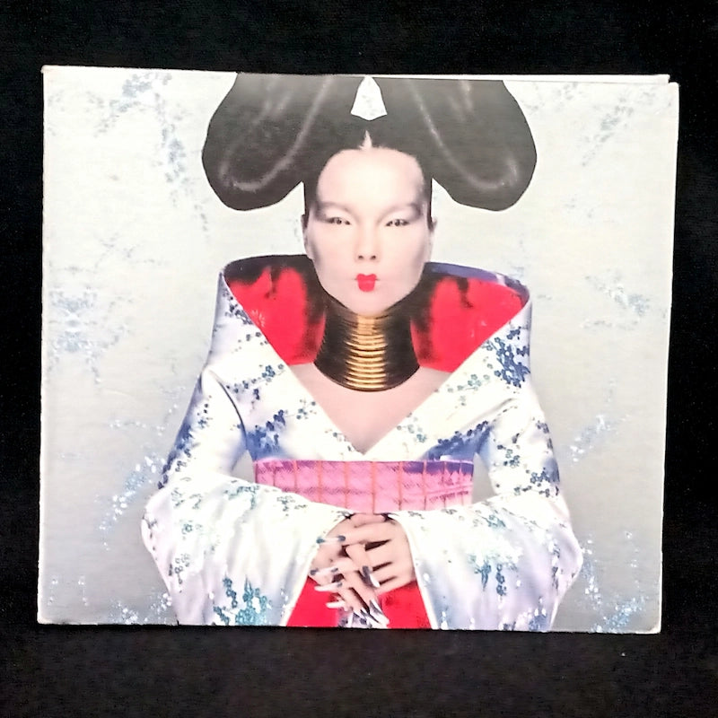 Björk – Homogenic Front