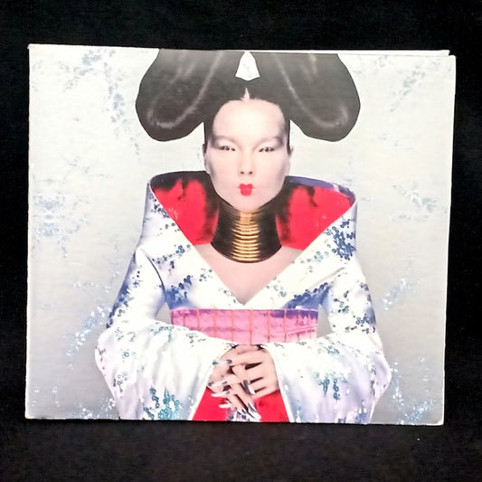 Björk – Homogenic Front