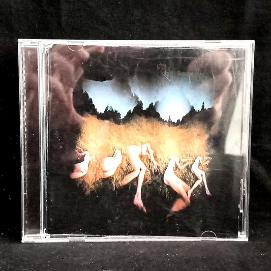 Amorphous Androgynous – The Isness Front