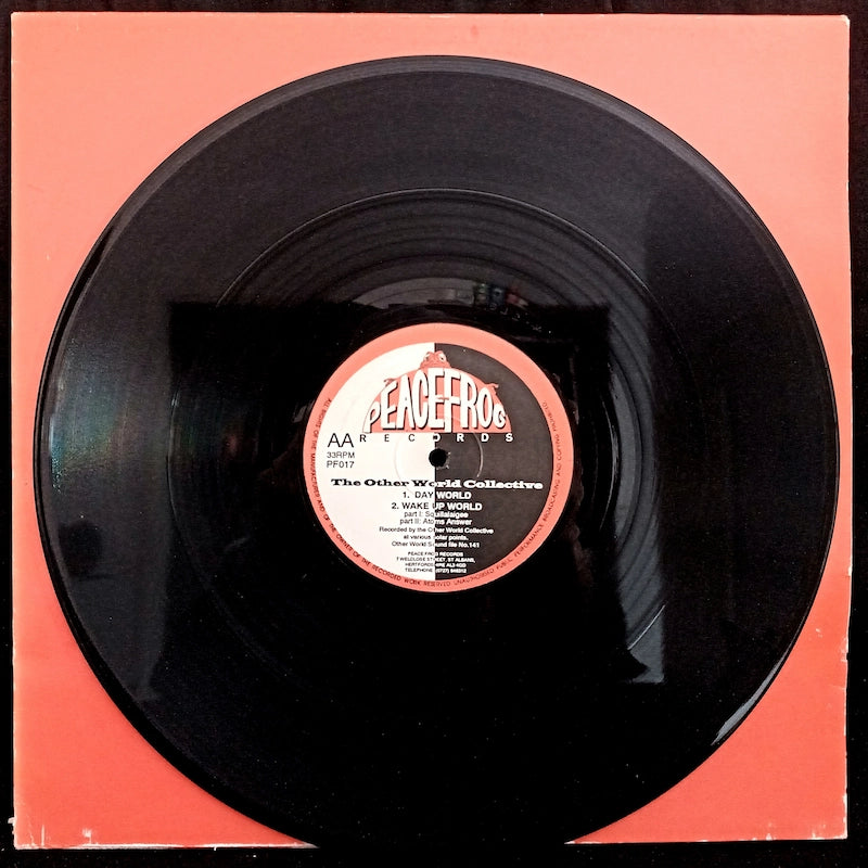 The Other World Collective – Artificial World Side AA