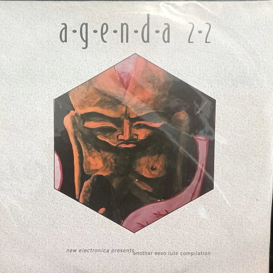 Various – Agenda 22 Front Cover