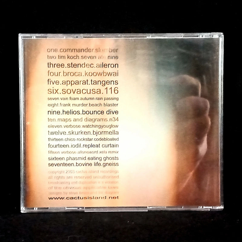 Various – Friends We Met Along The Way Back