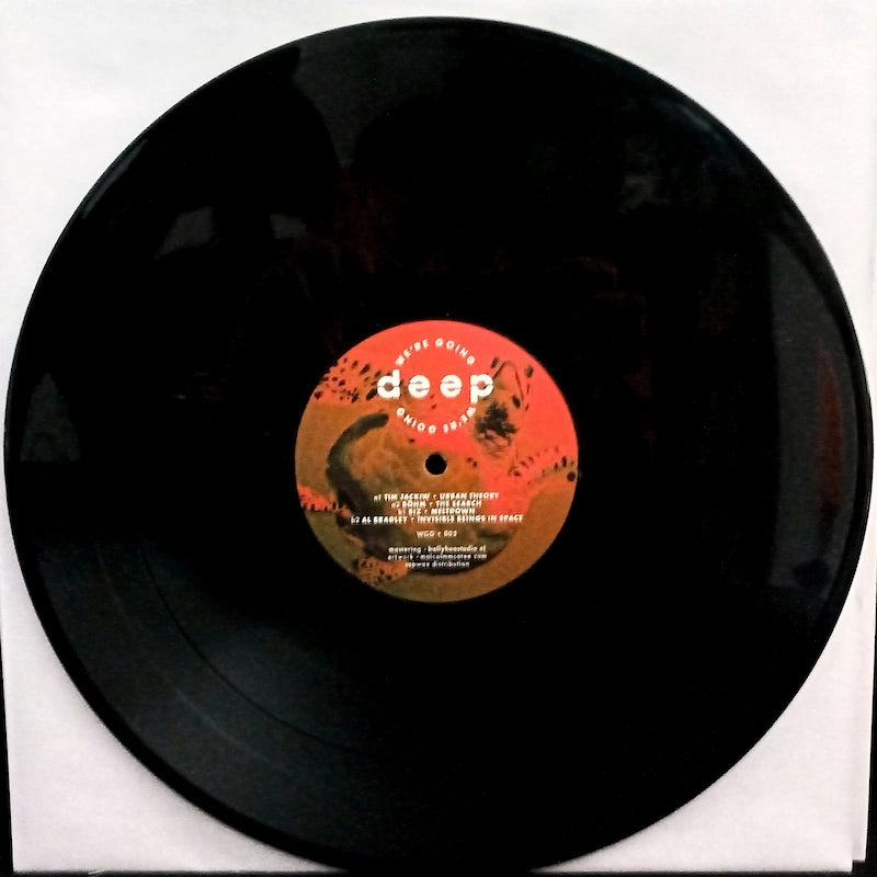 Various – Volume 5 - We're Going Deep A